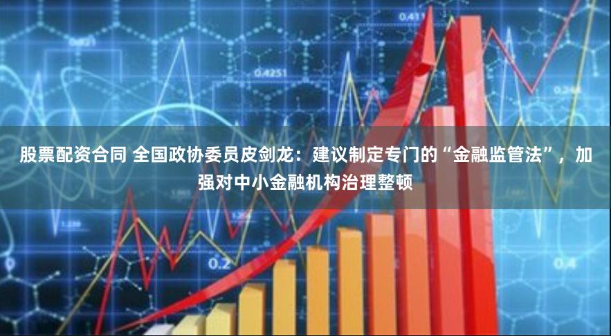 股票配资合同 全国政协委员皮剑龙：建议制定专门的“金融监管法”，加强对中小金融机构治理整顿