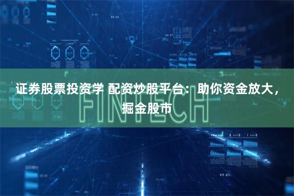 证券股票投资学 配资炒股平台：助你资金放大，掘金股市